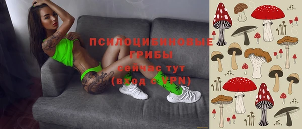 таблы Алзамай