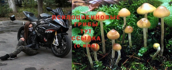 соль курить ск Снежинск