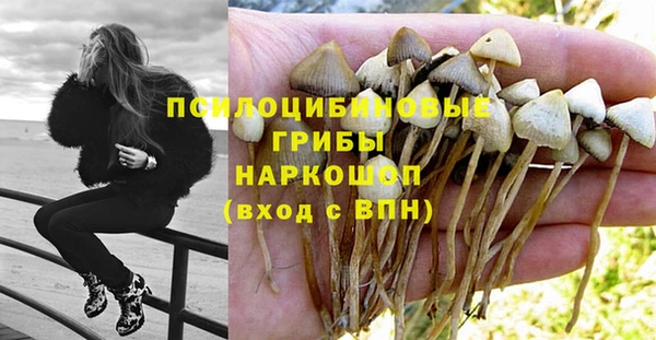 mdpv Алексин