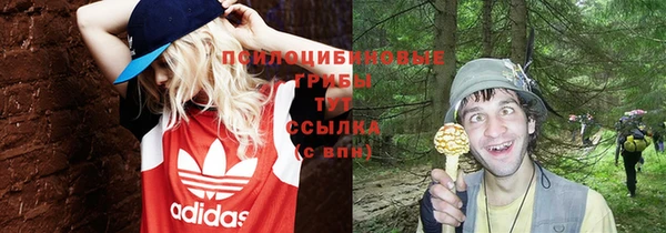 mdpv Алексин