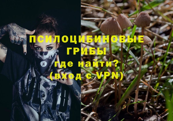 таблы Алзамай