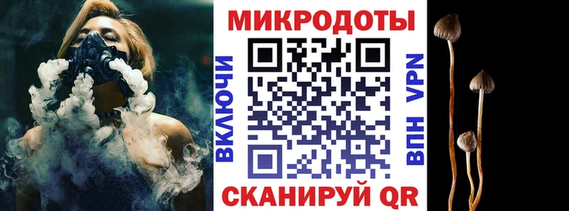 где продают   Инта  Псилоцибиновые грибы мицелий 